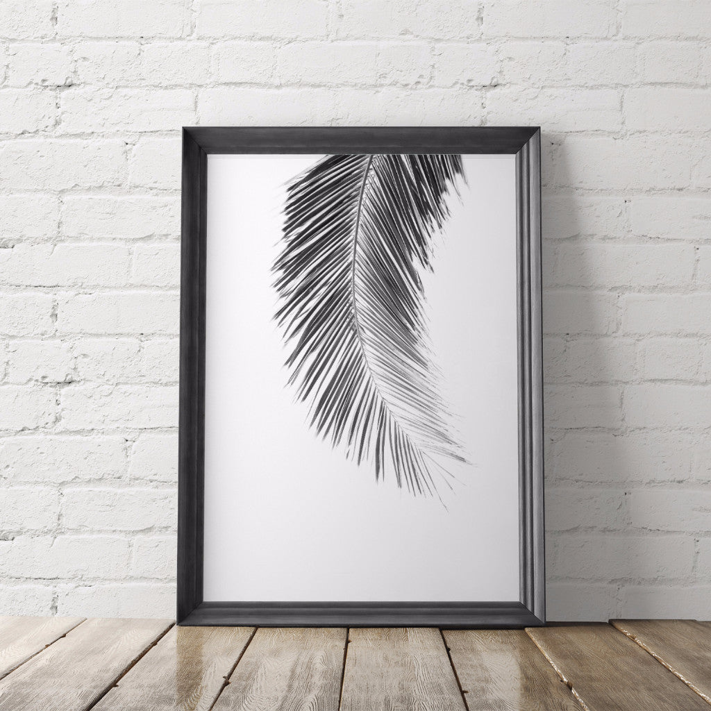 palm_leaf_bw_frame1_1024x1024.jpg?v=1527486679